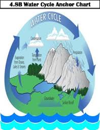 4 8b Water Cycle Anchor Chart