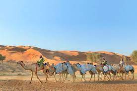 محل عبدالملك bidyah 10.43 miles away. Kamelrennbahn Ras Al Khaimah Camel Race Track Ras Al Khaimah