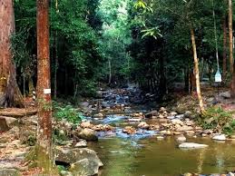 Approximately 10km hike from ulu bendul and descent to bukit putus. Hiking In Malaysia 10 Trails With The Most Picturesque Views Picturesque Hiking Trails Trail
