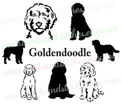 Pin On Animals