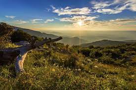 The national, the flagship nightly news and current affairs program from canada's public broadcaster, cbc. National Park Service Geschafte Facebook