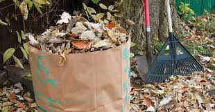 Free Residential Yard Waste Pickup Offered In Clifton Park Ny