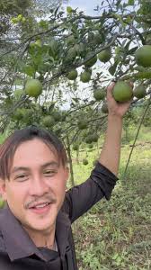 ក្រូចចម្ការខាងខ្ញុំ នៅមានច្រេីនណាស់ បងប្អូនត្រូវការអាច  កម្មង់បាន🌳🍊យកហូបឬយកលក់បន្តបាន តម្លៃពិសេស ហ្វីដឹកគ្រប់  ខេត្ត/ក្រុង🍊🇰🇭🌳070414167/0976334141/012941417🌳🍊, ...