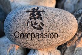 Image result for compassion