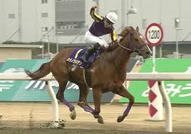 佐倉絆 29歳 デビュー4周年記念 新人女優 さくらきずな 18歳 avデビュ. D9ul61sagjljjm