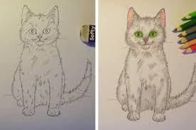 Drawing a cat isn't as hard as it looks! How To Draw A Cat Front View Sitting Front View And Side View