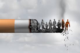 We use tobacco medicinally every four years on february 29, and only then! World No Tobacco Day 2019 Indestructible Chemistry Between Tobacco And Cancer