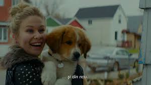 Trailer Cainele Adevăratul Meu Prieten A Dog S Purpose 2016 Subtitrat In Romană Youtube
