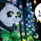 The Tianyu Lights Festival event in Phoenix, AZ