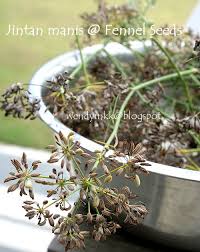 Table For 2 Or More Random Sunday Jintan Manis Is It Fennel Or Aniseed