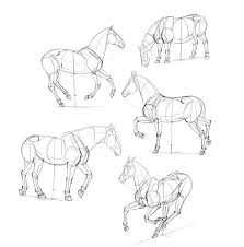 Art Sketches Step By Step Draw Horses Monika Read Stepbystep Www Zagrobelna How To Draw Horses Step In 2020 Horse Drawings Horse Sketch Horse Drawing Tutorial