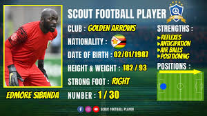 ✓ free for commercial use ✓ high quality images. Edmore Sibanda Goalkeeper Golden Arrows 2020 2021 Youtube