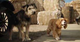 Film Ledi I Brodyaga 2019 Otzyvy Smotret Onlajn Trejler Informaciya O Filme Ledi I Brodyaga Kupit Bilet Na Film Ledi I Brodyaga Kino Teatr Ua