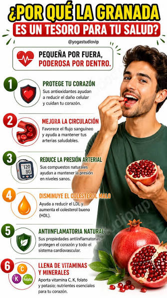 ❤️✨ La granada es una fruta llena de antioxidantes, vitaminas y compuestos  naturales que pueden apoyar la salud del corazón, la circulación y el  bienestar general. Además de ser deliciosa, es una