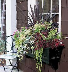 Flower arrangements flower packaging birthday flowers flower shop decor flower boxes flower gift ideas luxury flowers happy birthday flower flower box gift. Love This Planter Window Box Flowers Window Box Window Boxes