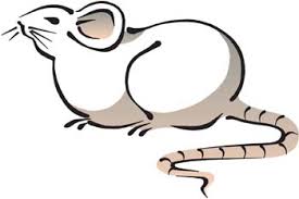 View credits, reviews, tracks and shop for the 2019 vinyl release of vector 12 on discogs. Vector De Raton 12 Vector Gratis Descargalo Ahora