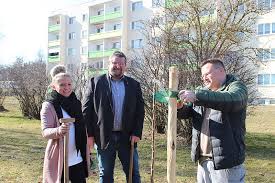Ambulant betreutes wohnen bad lobenstein die diakoniestiftung begleitet mit dem ambulant betreuten wohnen in bad lobenstein und umgebung klienten im eigenen wohnumfeld und bietet unterstützung bei der alltagsbewältigung. Thinka Pflanzt Obstbaume In Bad Lobenstein Diakoniestiftung Weimar Bad Lobenstein