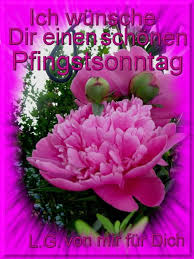 Pfingsten ist das christliche fest der entsendung des heiligen geistes am pfingstfest. Dreamies De Dsg90powen7 Jpg