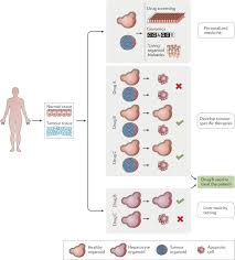 Or you could be asking: Organoids In Cancer Research Nature Reviews Cancer