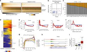 Antonia fotaras is an actress who portrays ade in the netflix 2020 fantasy series luna nera. Defective Transcription Elongation In A Subset Of Cancers Confers Immunotherapy Resistance Nat Commun X Mol