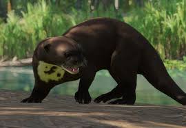They know how to help little ones master skills, gain my three grandbabies were privileged to be a part of baby otter, and what a great experience it has been for me to watch these little treasures learn and love. Giant Otter Planet Zoo Wiki Fandom