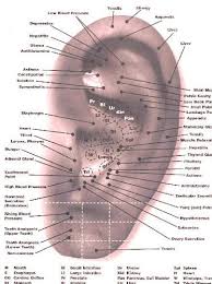 Free Printable Reflexology Charts Reflexology Qi Gong