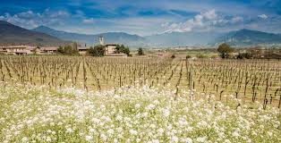 Italien lombardei provinz brescia paderno franciacorta. Geschichte Der Region Franciacorta