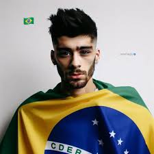 Zayn Malik Holding Up A Flag