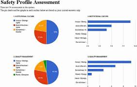 pie chart and bar graph output from the safety profile