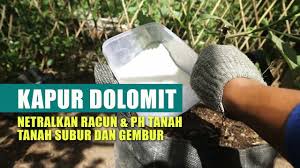 Soil, peat, land, loam, bokep, tenant, sinkhole, landlord, floor plan. Lombok Organik Youtube Channel Analytics And Report Powered By Noxinfluencer Mobile