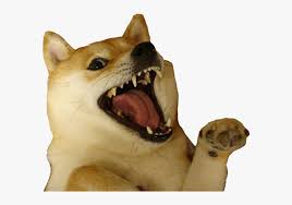 Over 115 mememe posts sorted by time, relevancy, and popularity. Shiba Dog S Head Messages Sticker 0 Dog Gif Meme Hd Png Download Kindpng