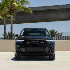 Image result for Tamarind Brown 2023 SQ7