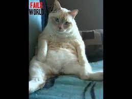 that moment when ajith was in tension koshki