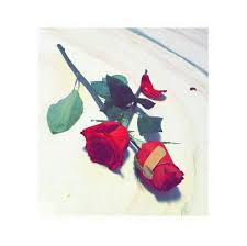 We did not find results for: Rocking Girlz Dpz Posts Facebook