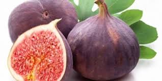Amc / inwestorzy amc mogą być narażeni na ogromne. Ø±Ø¤ÙŠØ©Ø§Ù†ÙŠ Ø§ÙƒÙ„ ComØ§Ù„ÙØ±ÙŠØ² OÂªu O Uso O UÆ'u O U O O O U Us O U U U O U U UË†o UË†o Usman Alkali Baba Nigeria News Reacoesquimicasdavida