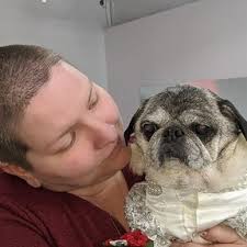 Hire Animal Reiki Care Pros Serving Syracuse NY