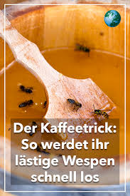 Mit Einem Trick Vertreibst Du Wespen Von Deinem Teller Video Tricks Tipps Und Tricks Tipps