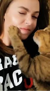 @catsareblessing's video Tweet