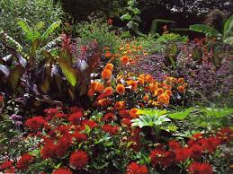 Pin On Beautiful Garden Pictures