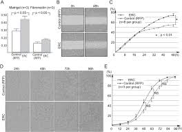 Maybe you would like to learn more about one of these? Possible Reversibility Between Epithelioid And Sarcomatoid Types Of Mesothelioma Is Independent Of Erc Mesothelin Expression Respiratory Research Full Text
