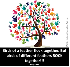 Birds Of The Same Feather Flock Together Birds Of A Feather Flock Together But Birds Of Different Feathers Rock Together Team Quote Viraj Kalra Co Fo Unity In Diversity Diversity Diversity Quotes