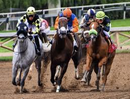 وفيها يمكنك الرهان على أكثر. Ø§Ù„Ø±Ù‡Ø§Ù† ÙÙŠ Ø³Ø¨Ø§Ù‚ Ø§Ù„Ø®ÙŠÙ„ Dubai Racecourse