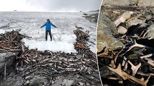 Ancient 1,500-year-old reindeer trap discovered by archaeologists in Norway  mountains | Fox News