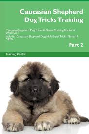Caucasian Shepherd Dog Tricks Training Caucasian Shepherd
