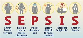 Almost any type of infection can lead to sepsis. What Is Sepsis Travel Ban On Immune Cells Could Prevent Sepsis