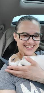 New Boston terrier puppy named Ai introduced