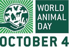 În fiecare an, pe data de 4 octombrie sărbătorim ziua internațională a animalelor, world animal day. Ziua InternaÅ£ionalÄ A Animalelor SÄrbÄtoritÄ La Muzeul Golesti Cu Petrecere Si Multe Concursuri Universul Argesean