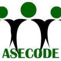 Image result for Aspilia kotschyi