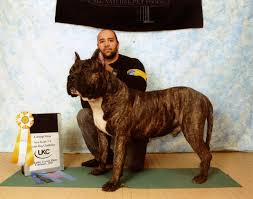 Advice from breed experts to make a safe choice. Juggernaut Cody Kennels