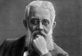 Franz Mehring Was Marx's First Biographer and a Marxist Pioneer in His Own  Right